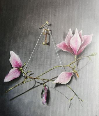 magnolia-altri-equilibri