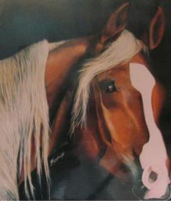 cavallo
