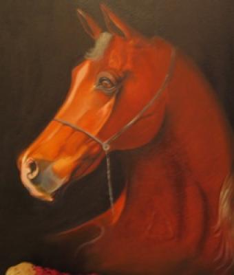 cavallo4