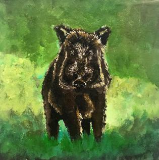sus-scrofa