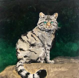 felis-silvestris