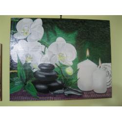 orchidee-bianche-con-sassi-e-c