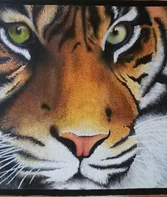 tigre