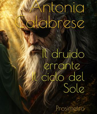 il-druido-errante-il-ciclo-d