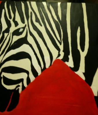 zebra
