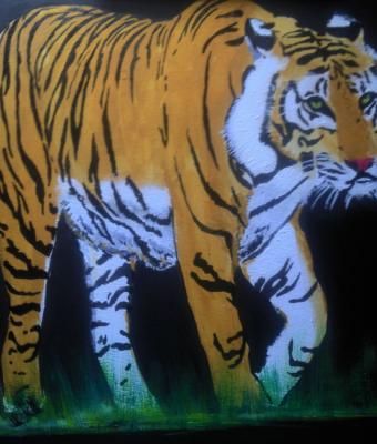 tigre-siberiana
