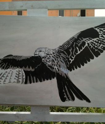 golden-eagle