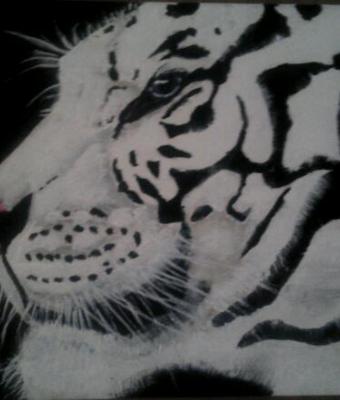 tigre-siberiana2