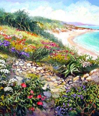 verso-la-spiaggia