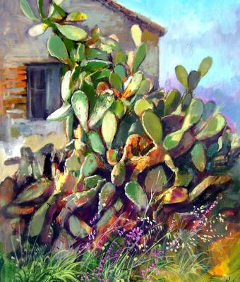 scorcio-di-campagna
