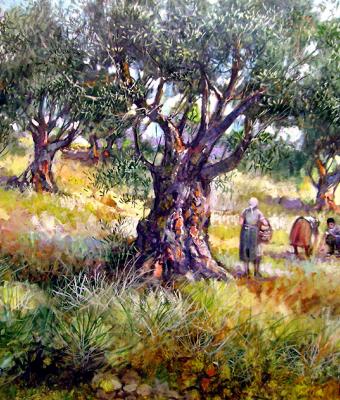 raccolta-delle-olive