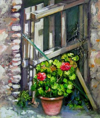 giornata-di-sole