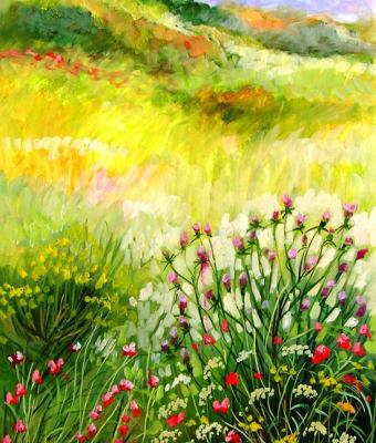 campagna
