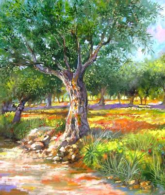 strada-di-campagna
