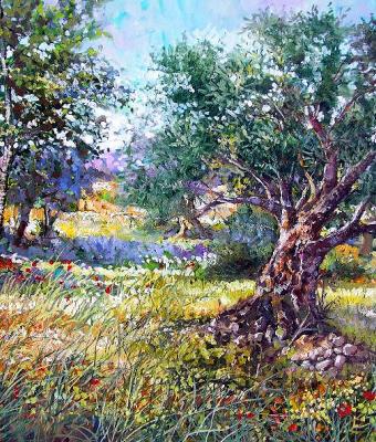 campagna