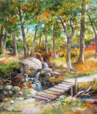 la-via-nel-bosco