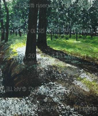 cascine-4