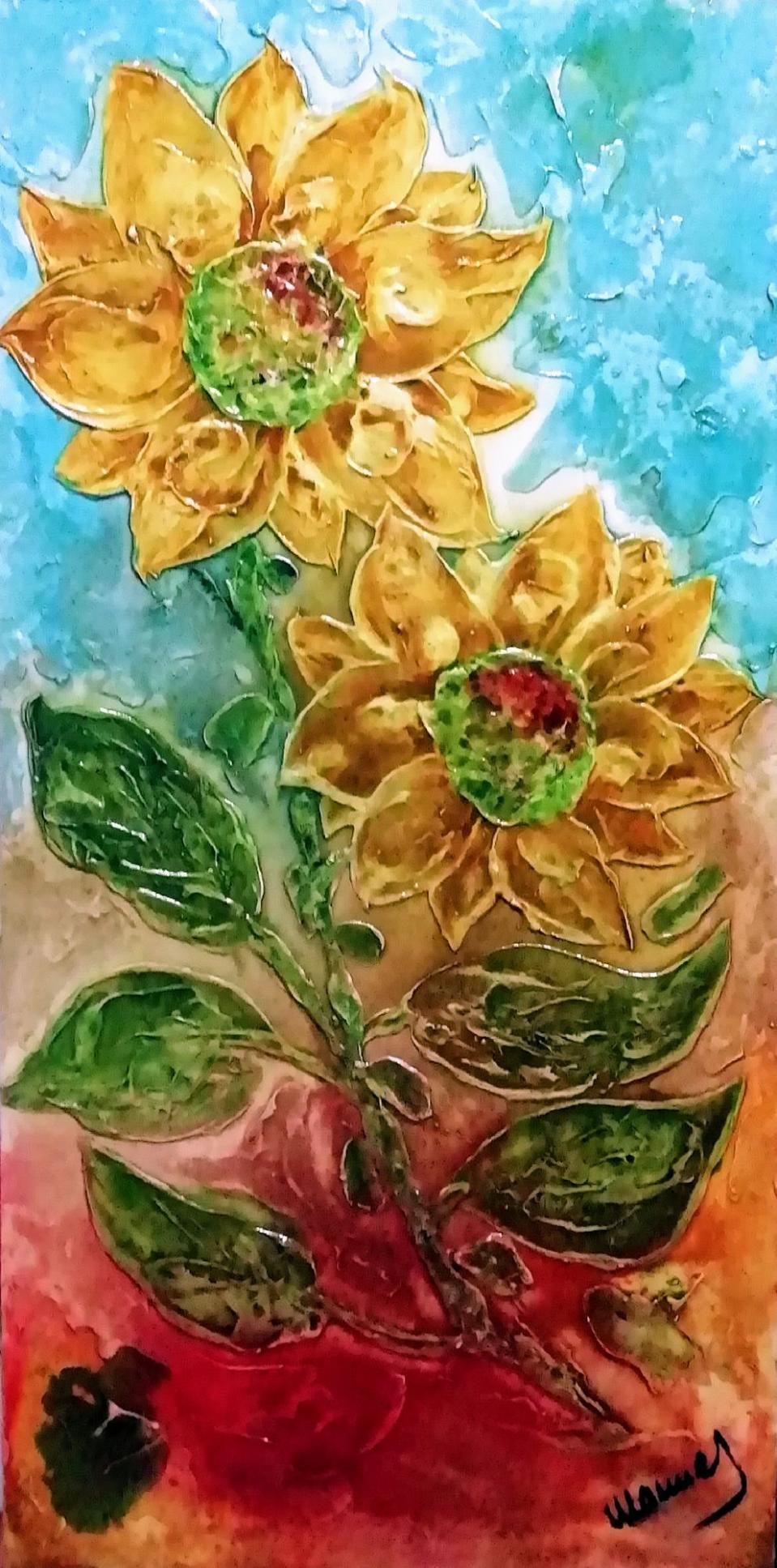 girasole