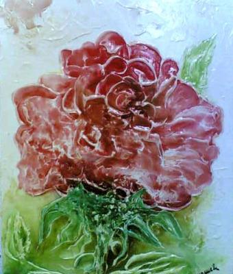 rosa