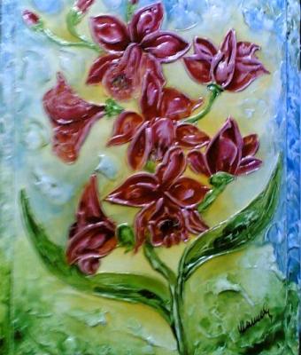 orchidea