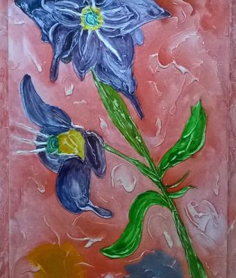 orchidea
