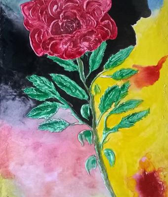 rosa