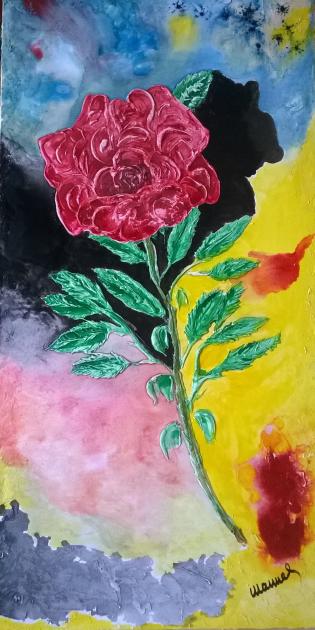 rosa
