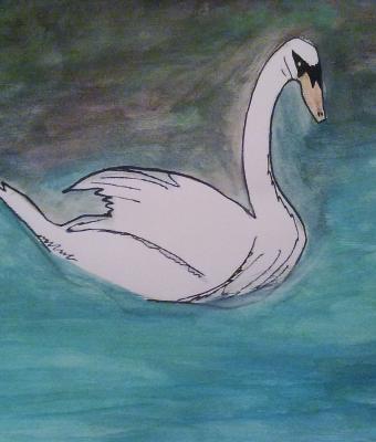 cigno-sul-lago