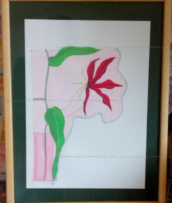 collezione-grazie-dei-fiori-1