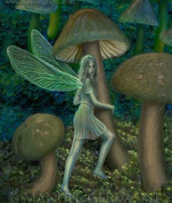 fairy-mushroom