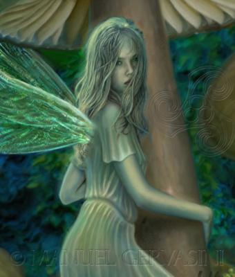 fairy-mushroom-detail
