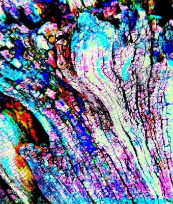 come-pietre-preziose-nascoste