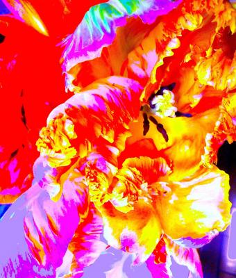 calore-e-colore