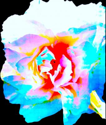 colorare-l-anima