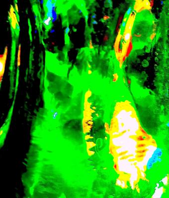 immersione-nel-verde