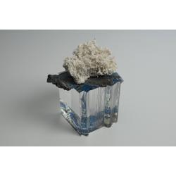 sponge-clean-sea