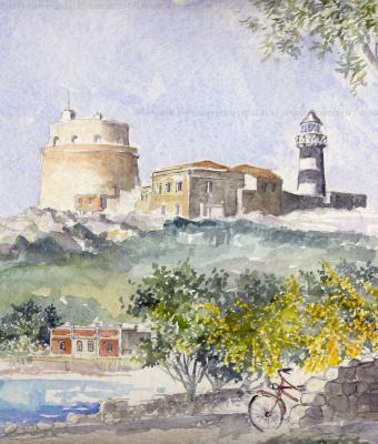 le-mimose-di-calamosca-primav