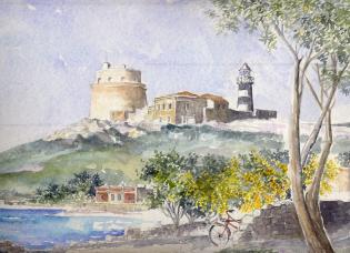 le-mimose-di-calamosca-primav
