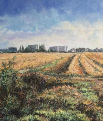 campo-a-san-marchetto