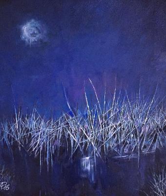 moonlight