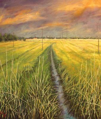 paesaggio-verde-tramonto