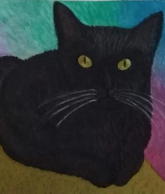 il-gatto-che-ti-legge-dentro