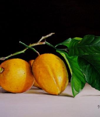 natura-morta-con-limoni
