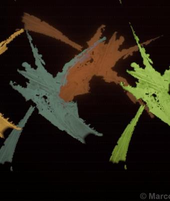 the-autumn