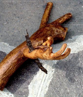 natura-bellica