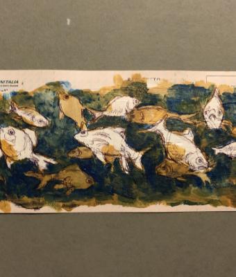 fish-080919