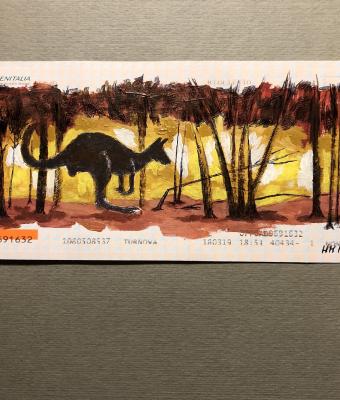 viaggi-australia-170120