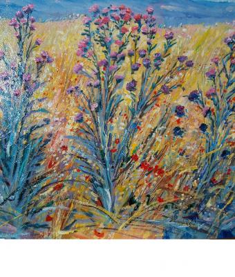 campo-di-grano-con-fiori-di-ca