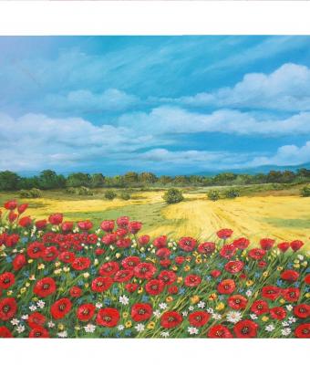 campo-di-papaveri