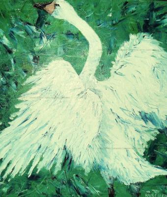 il-cigno